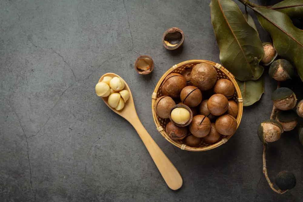 Roasted Macadamia Nuts